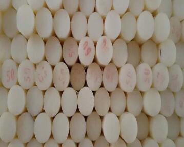 �������ڳ��н�����ʹ��